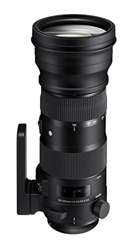 Sigma 150-600mm 5-6.3 Sports DG OS HSM Lens for Canon