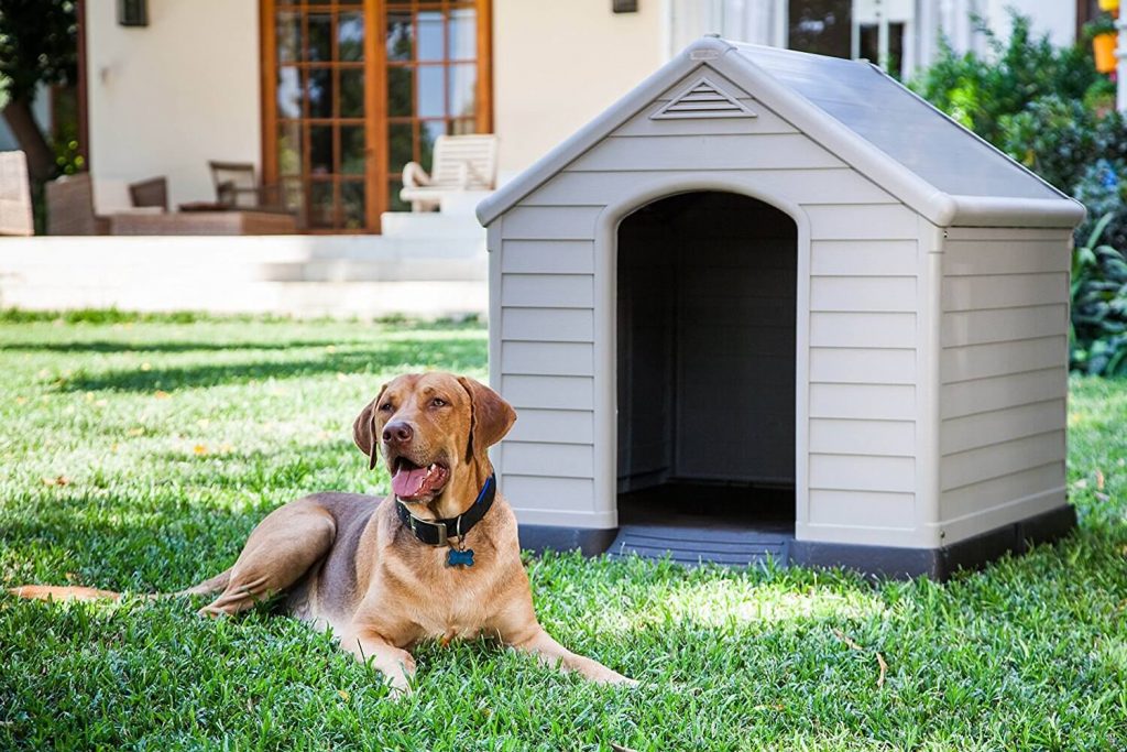 Las mejores casas de exterior para perros de todos los tamaños •  CompraMejor México
